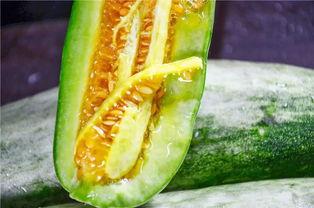 吃瓜香的网红有哪些