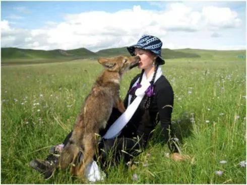 引狼入室在线观看 第3张 引狼入室在线观看 第3张